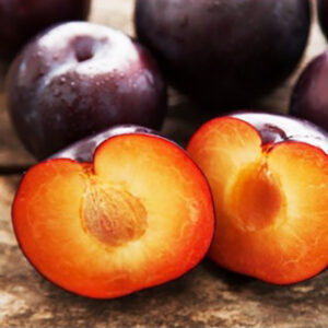Abricotier abricot-prune spring satin